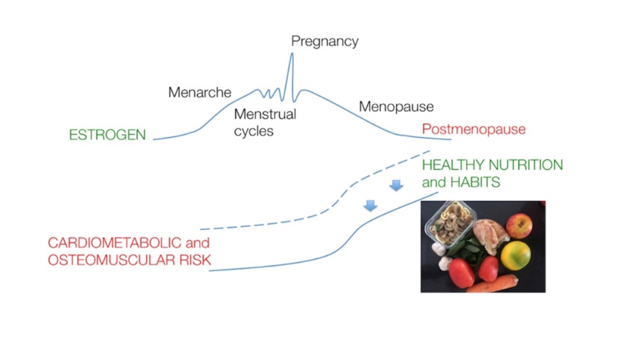 la menopausia provoca cambios en el ciclo hormonal