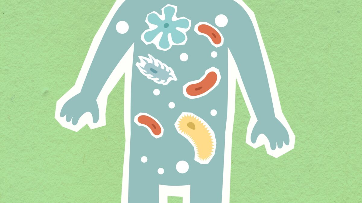 el cuerpo humano tiene células disfuncionales